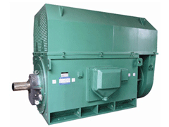 YJTFKK6301-8YKK系列高压电机