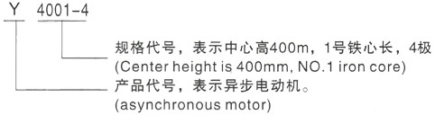 西安泰富西玛Y系列(H355-1000)高压YJTFKK6301-8三相异步电机型号说明